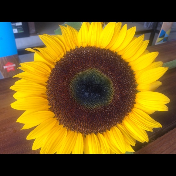 Meet your Posher, Pamela - Picture 1 of 1